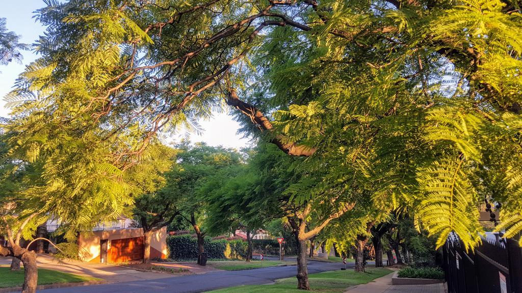 800@Merton Pretoria-Noord Exteriör bild